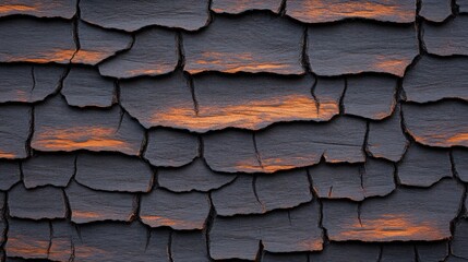 Poster - A close-up of textured, charred wood with deep cracks and warm orange highlights, showcasing the effects of fire and age, Tree Bark Texture natural  close-up
