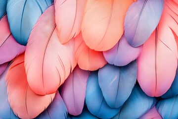 Poster - Colorful feathers in shades of pink and blue create a vibrant, textured background perfect for artistic expressions