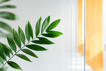Poster - Minimalist Biophilic Design Verdant Palm Leaf Aesthetic with Soft Shadow Play - Contemporary Wellness and Interior Styling Visual Narrative
