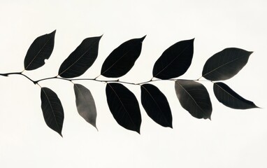 Poster - Dark Green and Gray Simple Leaf Illustration on White Background