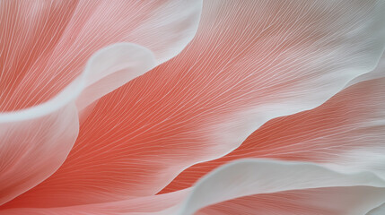Leinwandbilder - delicate macro shot captures intricate details of soft pink flower petal, showcasing its gentle curves and fine textures. image evokes sense of tranquility and natural beauty