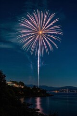 Wall Mural - fireworks are lit up in the sky above a body of water