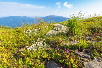 Wall Mural - mountain landscape with blue sky in summer. nature background with hill for travel. beautiful view f
