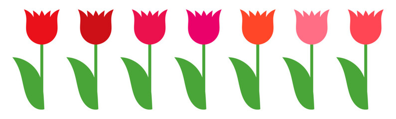 Wall Mural - tulips collection - red and pink flowers on white backgrounds. vector illustration.