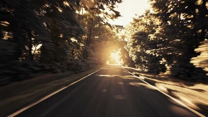Poster - Sunny forest road with light streaming through trees, peaceful journey concept