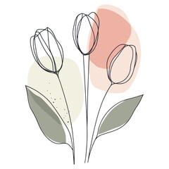Wall Mural - abstract tulip line art illustration minimalist background vector