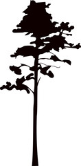 Wall Mural - pine tree silhouette vector on white background