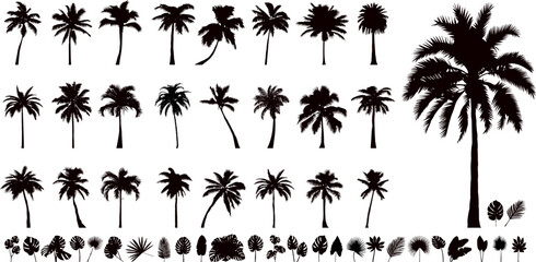 Wall Mural - palm trees collection, set silhouette vector on white background