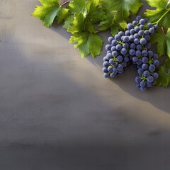 Poster - Grapes and leaves beautifully arranged on a weathered wall creating a rustic and natural aesthetic