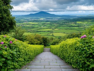 Poster - Scenic path leading up to a panoramic view of the beautiful countryside showcasing nature's beauty and serenity