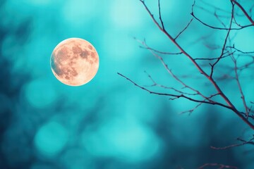 Poster - Majestic full moon illuminating the night sky with a soft glow creating a serene and peaceful atmosphere after midnight