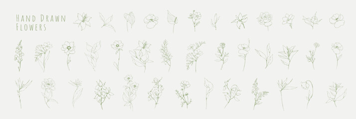 Wall Mural - botanic set of detailed various flowers and brunch. luxury vintage floral collection for wedding inv