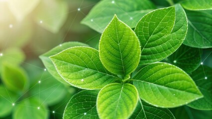 Poster - Vibrant green leaves with intricate details against a blurred background.