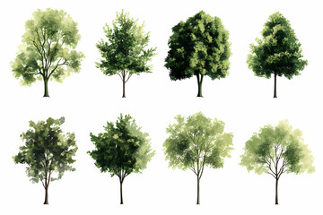 diverse watercolor trees: a collection of meticulously rendered watercolor trees, each with a unique