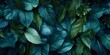© Ilja - Dark Tropical Jungle Foliage Background. Lush Green Plants Growing In Green Wall Design