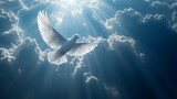 White dove soaring through heavenly clouds and sunlight.