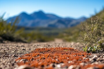 Poster - Detailed Close-Up of Unique Desert Flora with a Mountainous Horizon in the Background : Generative AI