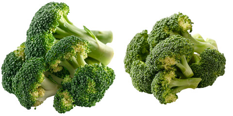 Poster - A solitary head of picked broccoli is depicted on a transparent background, made with Generative Ai