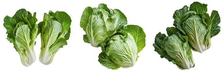 Poster - Isolated on a transparent background is a fresh green cabbage, generated by Ai