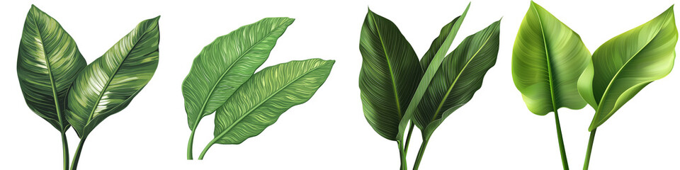 Poster - Green tropical leaves, isolated and set against a transparent background, are a product of Generative Ai