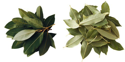 Poster - On a transparent background, a pile of dried bay leaves is isolated, an image generated by Generative Ai