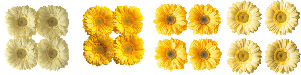 Aufkleber - Isolated daisy and gerbera flowers on a transparent background have been generated using advanced Ai techniques