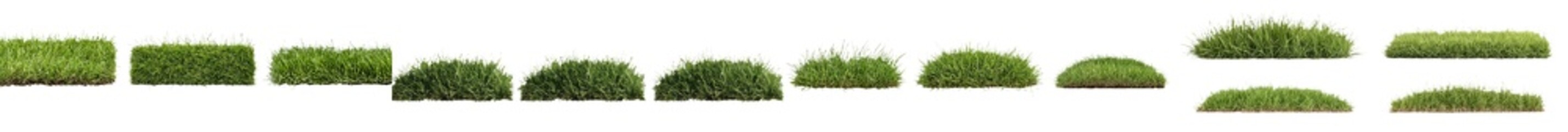 Poster - Green grass borders, collected and seamlessly arranged horizontally, are isolated on a white background in this 3D rendered 3D illustration