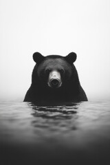 Aufkleber - Portrait photograph in socialist realism style of a solitary grizzly bear, dramatic and symbolic of