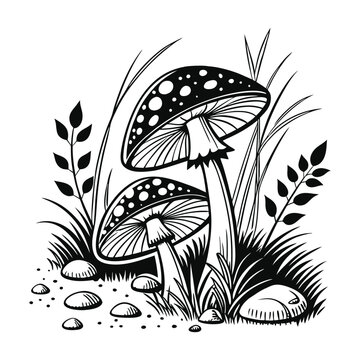 Mashroom vector illustration for coloring book, isolated on a white background