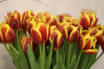 Poster - A bouquet of colorful tulips in a decorative vase, perfect for home decor or gift giving.