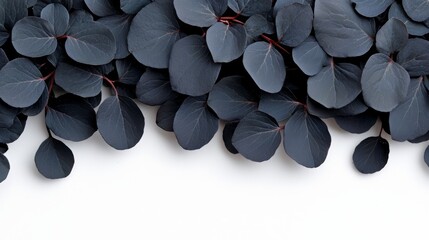 Aufkleber - close up of a bunch of black leaves, possibly from a plant. the leaves are arranged in a way that cr