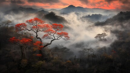 Aufkleber - Forest with a large tree in the foreground and a misty sky in the background. The tree is red and has a long trunk