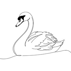 Poster - Swan drawing line art of swan in water. Swan illustration in single line art style