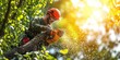 © BYAI - Tree surgeon performing pruning work on a sunlit afternoon in a lush forested area