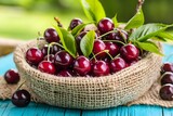 Juicy Red Cherries in Rustic Burlap Bowl Summer Fruit Still Life Photography