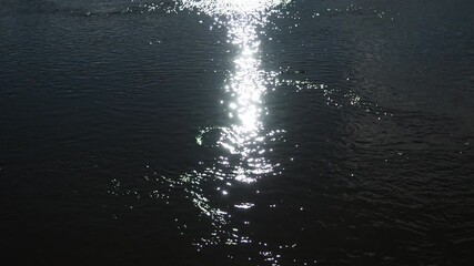 Poster - Glimmers dance on the surface of the river as sunlight filters through, creating a serene atmosphere. Gentle waves glide along the peaceful shoreline, inviting tranquility and exploration