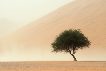 Poster - Solitary tree standing amidst desert sands showcasing the harsh beauty of nature in a serene atmosphere : Generative AI