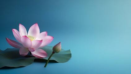 Poster - Elegant single pink lotus flower resting on a green leaf against a soft blue background conveying peace and tranquility : Generative AI