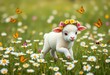 © kingkong - Cute Lamb Walking in Flower Field Wearing Floral Crown with Butterflies