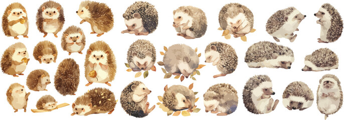 Wall Mural - hedgehog watercolor clipart