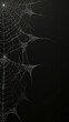 © Ai Gallerybd - spider web with dew drops