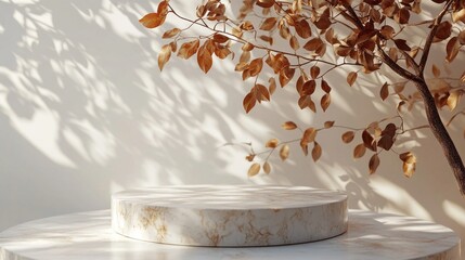 Poster - Soft sunlight spills into a serene space, highlighting a round marble pedestal. An arrangement of dried autumn leaves rests gently above, creating intricate patterns through the shadows they cast