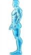 © Iswanto - Anatomical Illustration of Male Body Side View
