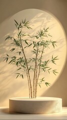 Poster - Bamboo plants stand gracefully in a minimalist arrangement, their slender stalks throwing gentle shadows on a warm-toned wall, capturing a tranquil atmosphere in the early daylight