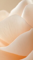 Poster - Gentle waves of peach-hued rose petals emerge, showcasing an intricate design that reflects the morning light. Each petal whispers elegance and tranquility, inviting admiration