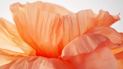Poster - A close-up view reveals the intricate layers of a coral flower, showcasing its delicate textures and luminous colors. The petals appear to dance in a gentle breeze, embodying nature's beauty