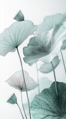 Poster - Graceful lotus leaves and buds rise gently from the surface, showcasing their intricate textures and ethereal beauty. Soft hues enhance the tranquil ambiance of the setting