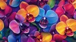 © YauheniB - Fondo de orquídeas coloridas, flores vibrantes