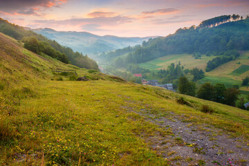 Wall Mural - landscape of rural valley with dawn sky. nature in summer. green meadow in mountain and forest on hi