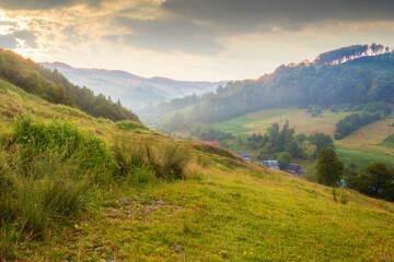 Wall Mural - landscape of rural valley with dawn sky. nature environment in summer. green meadow in mountain and 